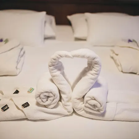 Bristol Hotel 4*