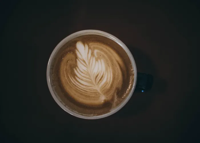 布里斯都酒店 酒店