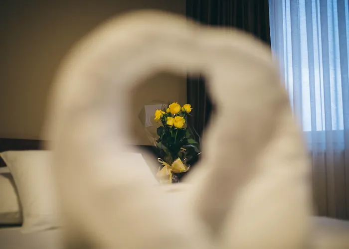 布里斯都酒店 4* 莫斯塔尔