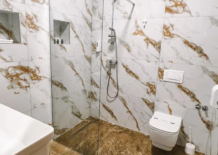 酒店 布里斯都酒店 4*